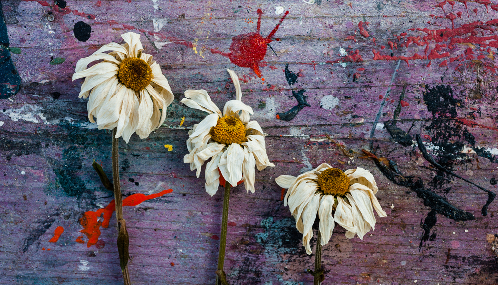 Wilting flowers